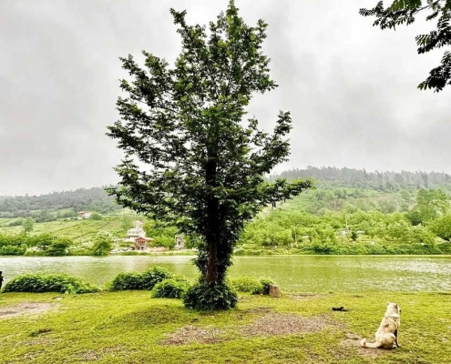 دریاچه عروس حلیمه جان کجاست