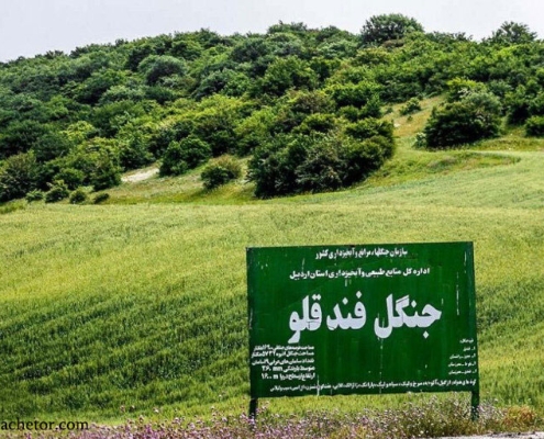 تابلوی ورودی جنگل فندقلو