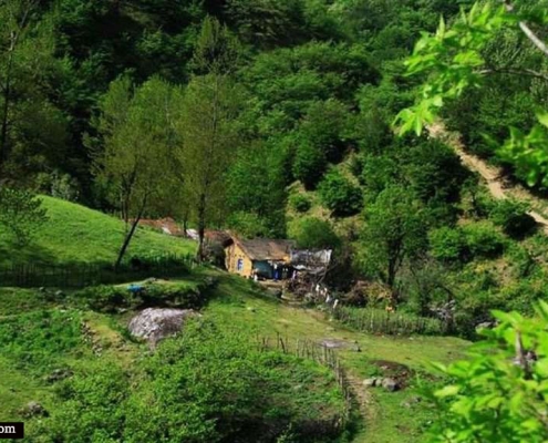 جنگل زیبا و سرسبز فندقلو اردبیل