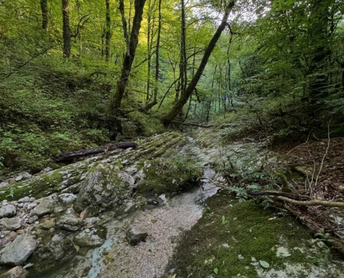 kiamid-waterfall-6 آدرس و مسیر آبشار کیامید