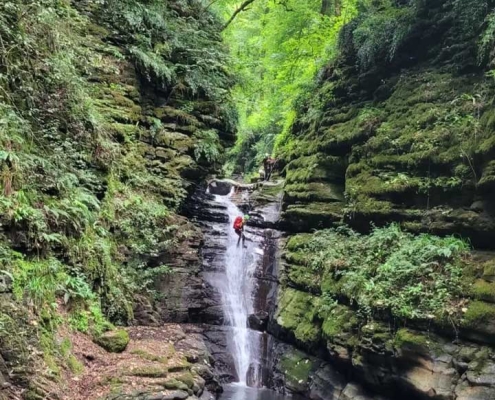 دره پنو کجاست