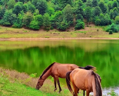 طبیعت زیبای دریاچه سراگاه تالش در گیلان