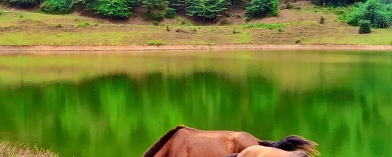 طبیعت زیبای دریاچه سراگاه تالش در گیلان