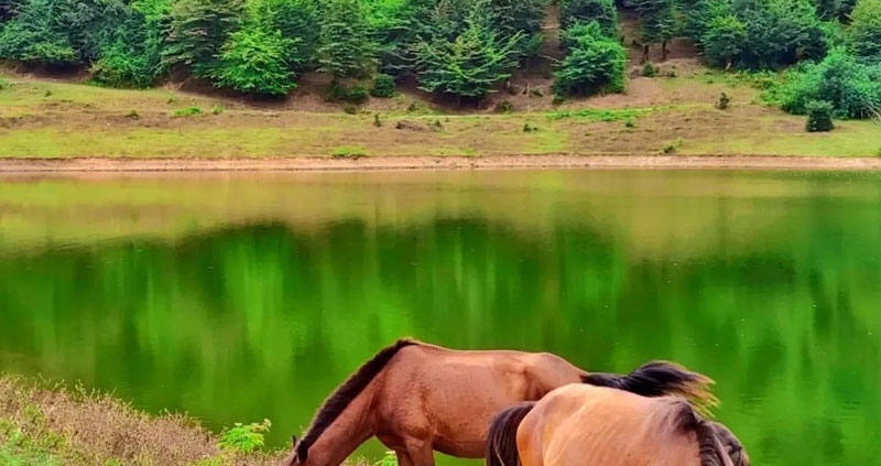 طبیعت زیبای دریاچه سراگاه تالش در گیلان