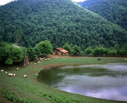 دریاچه سراگاه تالش در فصل بهار