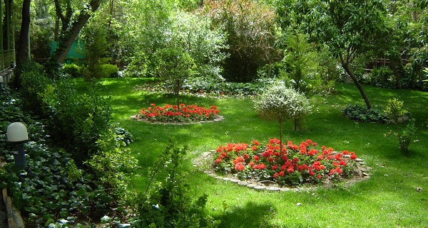 پارک جنگلی سکوتپه ساری بزرگترین و جدیدترین پارک جنگلی