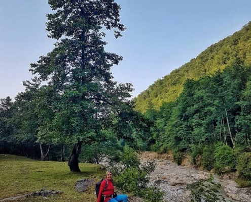 مسیر شیوا دره نوشهر