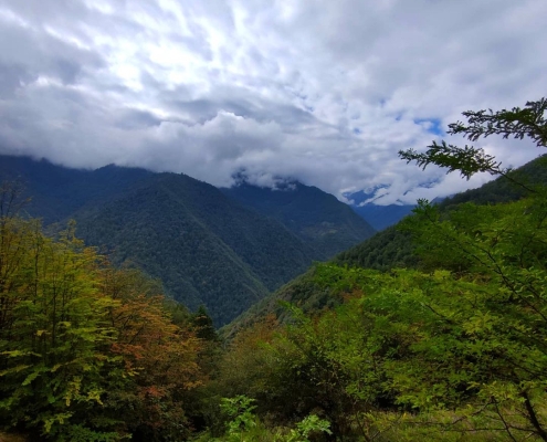 مسیر جنگل آبشار سیاسرت