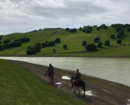 sooha-lake-2 sooha lake 2