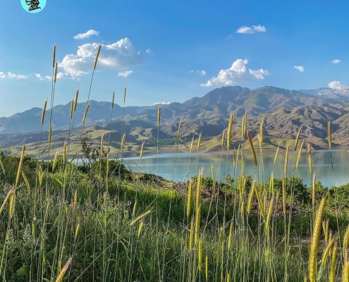 taleqan-dam-lake-8 سد طالقان