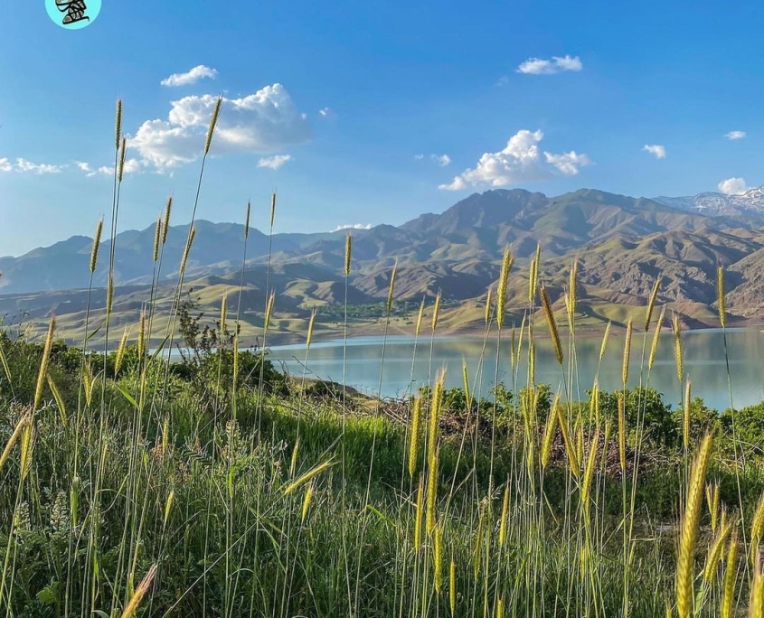 taleqan-dam-lake-8 سد طالقان