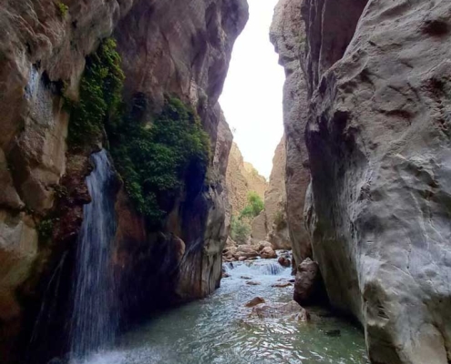 تنگه مهریان و کبوتری