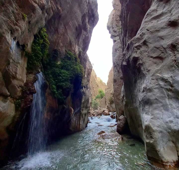 تنگه مهریان و کبوتری