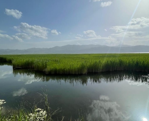zrebar-lake-marivan-2 دریاچه زریوار مریوان