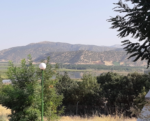 zrebar-lake-marivan-6 جنگل اطراف دریاچه زریوار