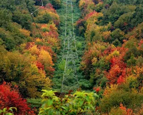 پارک جنگلی بزچفت بابلکنار در پاییز