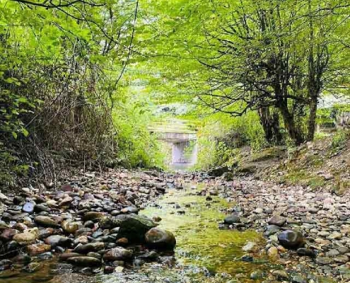 پارک جنگلی بابلکنار در استان مازندران