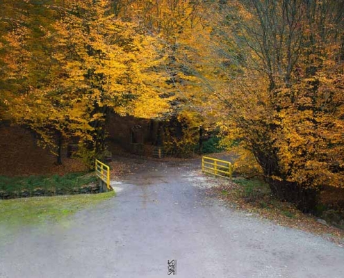 پارک جنگلی بزچفت در بابل مازندران