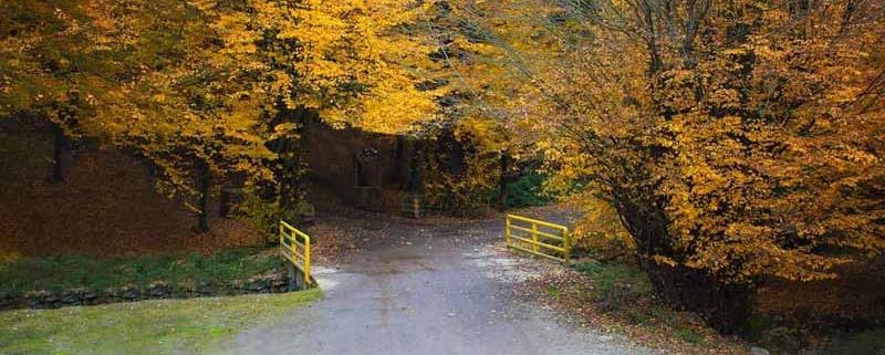 پارک جنگلی بزچفت در بابل مازندران
