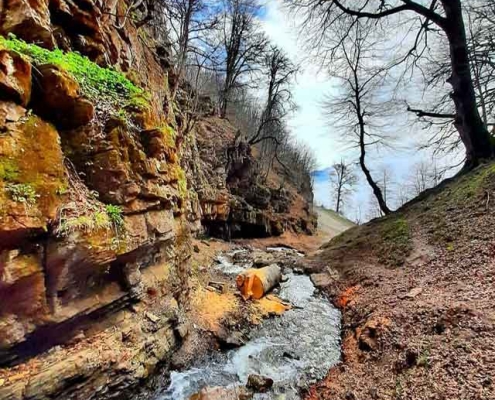 Dalkhani-Jungle-1 پاییز جنگل دالخانی