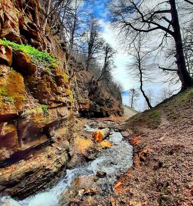 Dalkhani-Jungle-1 پاییز جنگل دالخانی