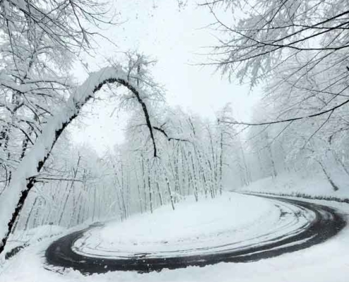 Dalkhani-Jungle-3 جاده برفی جنگل دالخانی رامسر