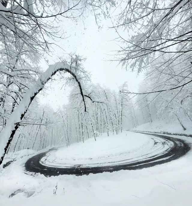 Dalkhani-Jungle-3 جاده برفی جنگل دالخانی رامسر