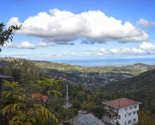 Dalkhani-Jungle جنگل دالخانی در رامسر استان مازندران