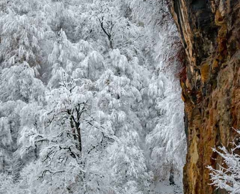 Dalkhani-Jungle-9 جنگل دالخانی در زمستان