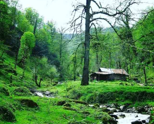 مسیر آبشار شی الیم در بابل