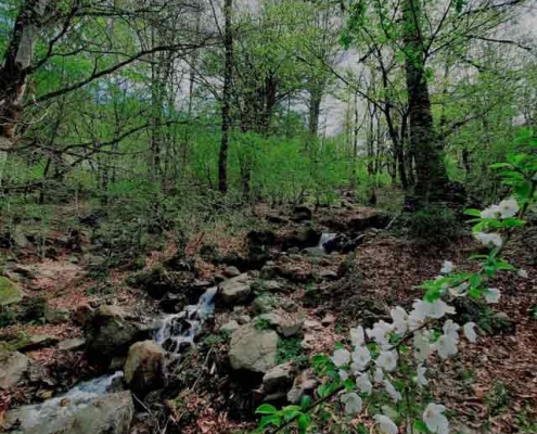 Sheykh-Musa-Waterfall-8 مسیر آبشار شیخ موسی