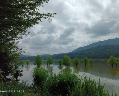 alandan-lake-sari-1 دریاچه الندان ساری کجاست
