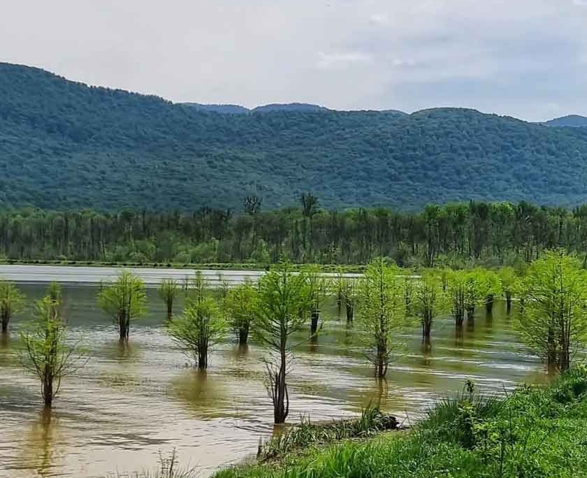 alandan-lake-sari-7 دریاچه الندان در ساری نزدیک به کیاسر مازندران