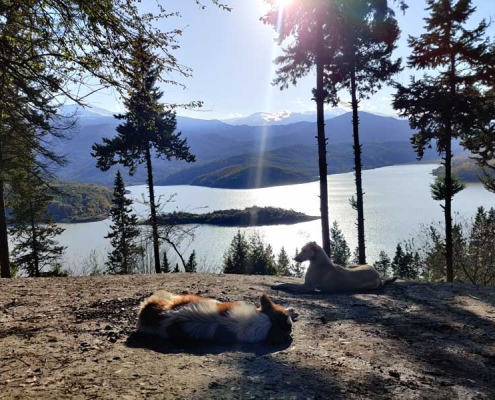 alborz-dam-lafour-2 سد لفور شیرگاه در استان مازندران