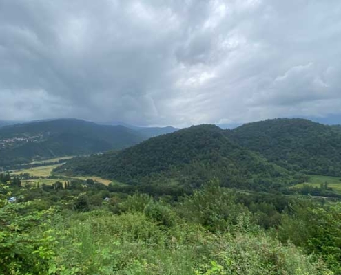 alborz-dam-lafour-5 جنگل های لفور مازندران