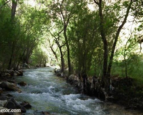 طبیعت زیبای روستای ارنگه