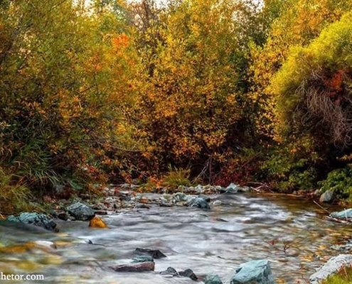 روستای ارنگه در پاییز