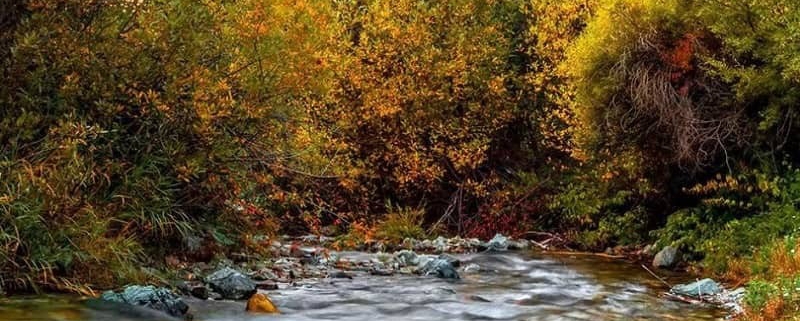 روستای ارنگه در پاییز