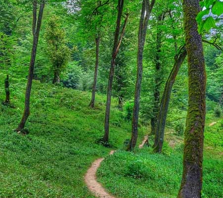 مسیر آبشار کلیره