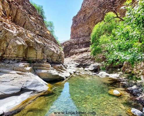 chal-mahi-2 چال ماهی تهران