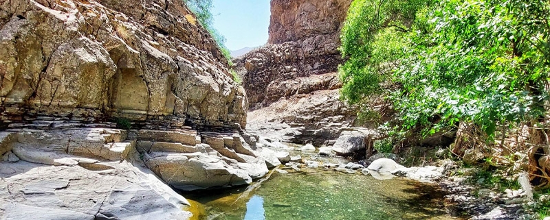 چال ماهی تهران