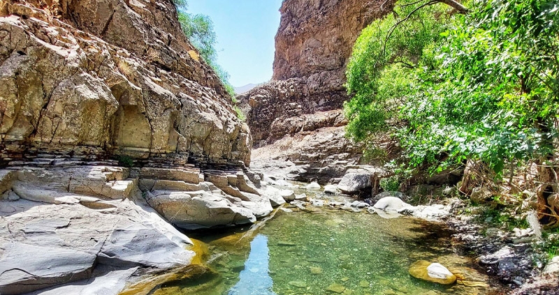 چال ماهی تهران