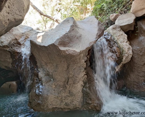 chal-mahi-3 چال ماهی تهران بخش کن