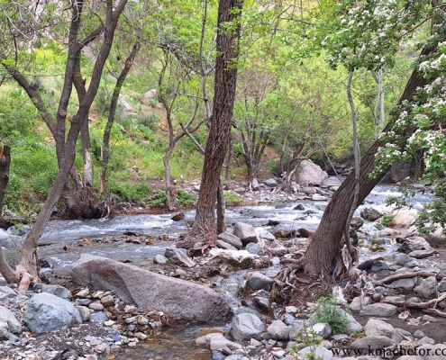 chal-mahi-6 طبیعت زیبای چال ماهی