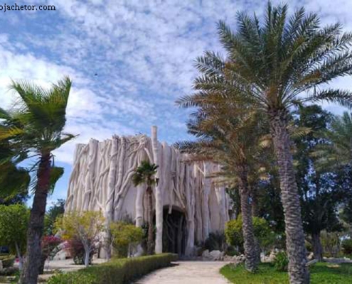 dolphinarium dolphinarium