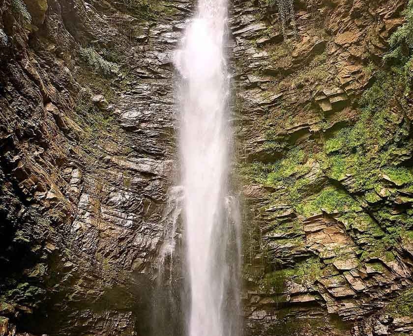 جنگل های نزدیک به ابشار گزو