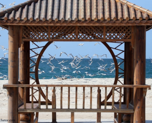 hoor-cottage-6 کلبه هور صرفا نام این منطقه است و ارتباطی با کلبه یا بنای تاریخی ندارد.