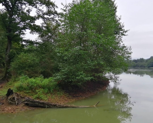 عکس دریاچه جوربند