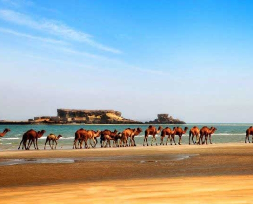 naz-island-10 ساحل جزیره ناز