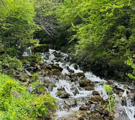 رودخانه در مسیر آبشار زانوس